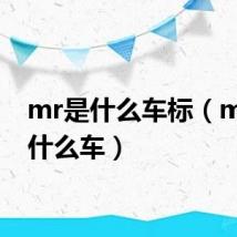mr是什么车标(mr2是什么车)