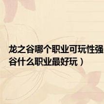龙之谷哪个职业可玩性强(龙之谷什么职业最好玩)