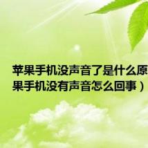 苹果手机没声音了是什么原因(苹果手机没有声音怎么回事)