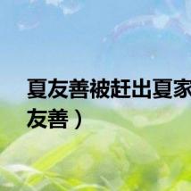 夏友善被赶出夏家（夏友善）