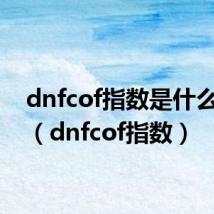 dnfcof指数是什么意思(dnfcof指数)