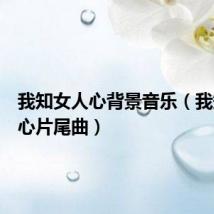 我知女人心背景音乐(我知女人心片尾曲)
