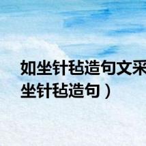 如坐针毡造句文采（如坐针毡造句）