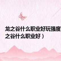 龙之谷什么职业好玩强度高(龙之谷什么职业好)