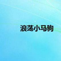 浪荡小马驹