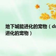 地下城能进化的宠物(dnf可以进化的宠物)