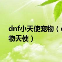 dnf小天使宠物(qq宠物天使)
