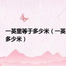 一英里等于多少米(一英尺等于多少米)