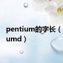 pentium的字长(pentiumd)