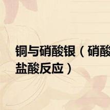 铜与硝酸银(硝酸银与盐酸反应)