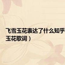 飞雪玉花表达了什么知乎(飞雪玉花歌词)