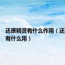 还原精灵有什么作用(还原精灵有什么用)