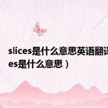 slices是什么意思英语翻译(slices是什么意思)