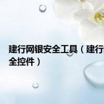 建行网银安全工具(建行网银安全控件)