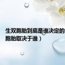 生双胞胎到底是谁决定的(生双胞胎取决于谁)