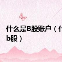 什么是B股账户（什么是b股）