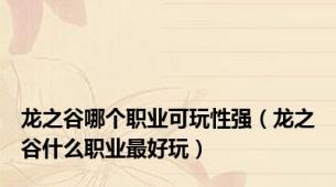 龙之谷哪个职业可玩性强（龙之谷什么职业最好玩）