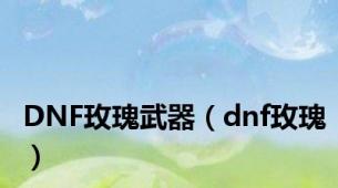 DNF玫瑰武器（dnf玫瑰）