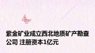 紫金矿业成立西北地质矿产勘查公司 注册资本1亿元