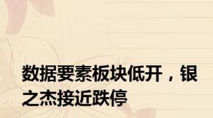 数据要素板块低开，银之杰接近跌停