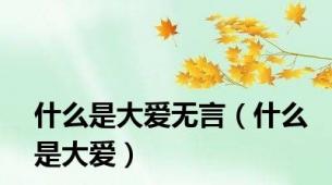 什么是大爱无言（什么是大爱）