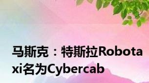 马斯克：特斯拉Robotaxi名为Cybercab