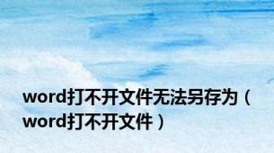 word打不开文件无法另存为（word打不开文件）