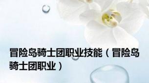 冒险岛骑士团职业技能（冒险岛骑士团职业）