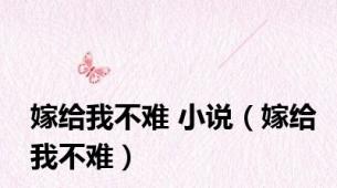 嫁给我不难 小说（嫁给我不难）
