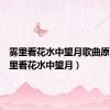 雾里看花水中望月歌曲原唱（雾里看花水中望月）