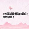 dna双螺旋模型的要点（dna双螺旋模型）