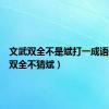 文武双全不是斌打一成语（文武双全不猜斌）