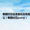 泰国校花霸凌曼陀花电视剧叫什么（泰国校花pump）