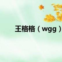 王格格（wgg）