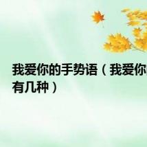 我爱你的手势语(我爱你的手势有几种)