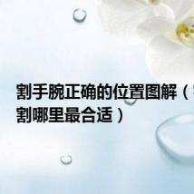 割手腕正确的位置图解(割手腕割哪里最合适)