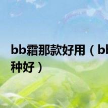 bb霜那款好用（bb霜哪种好）