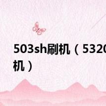 503sh刷机(5320di刷机)