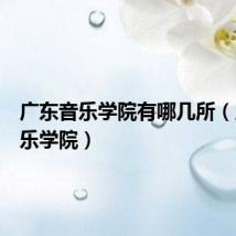 广东音乐学院有哪几所(广东音乐学院)