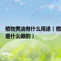植物黄油有什么用途(植物黄油是什么做的)