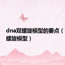 dna双螺旋模型的要点(dna双螺旋模型)