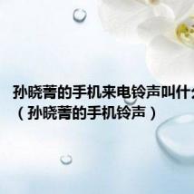 孙晓菁的手机来电铃声叫什么歌曲?(孙晓菁的手机铃声)