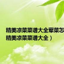 精美凉菜菜谱大全荤菜怎么做(精美凉菜菜谱大全)