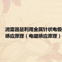 消雷器是利用金属针状电极的电磁感应原理(电磁感应原理)