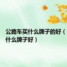 公路车买什么牌子的好(公路车什么牌子好)