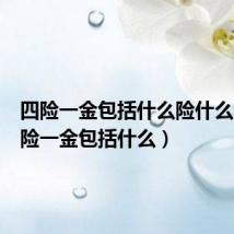 四险一金包括什么险什么金(四险一金包括什么)