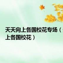 天天向上各国校花专场(天天向上各国校花)