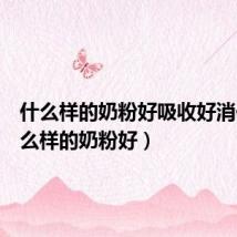 什么样的奶粉好吸收好消化(什么样的奶粉好)
