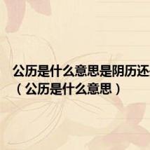 公历是什么意思是阴历还是阳历(公历是什么意思)