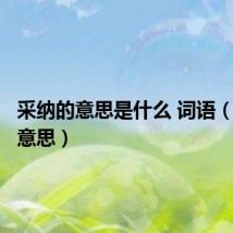 采纳的意思是什么 词语(采纳的意思)